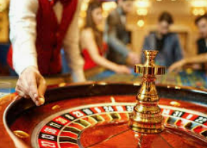 新普京com2024最新版