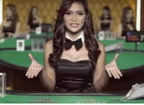 新普京com正式版